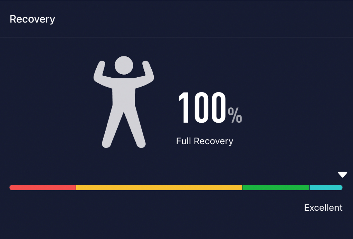 Recovery status at 100%, indicating full recovery and an Excellent rating.